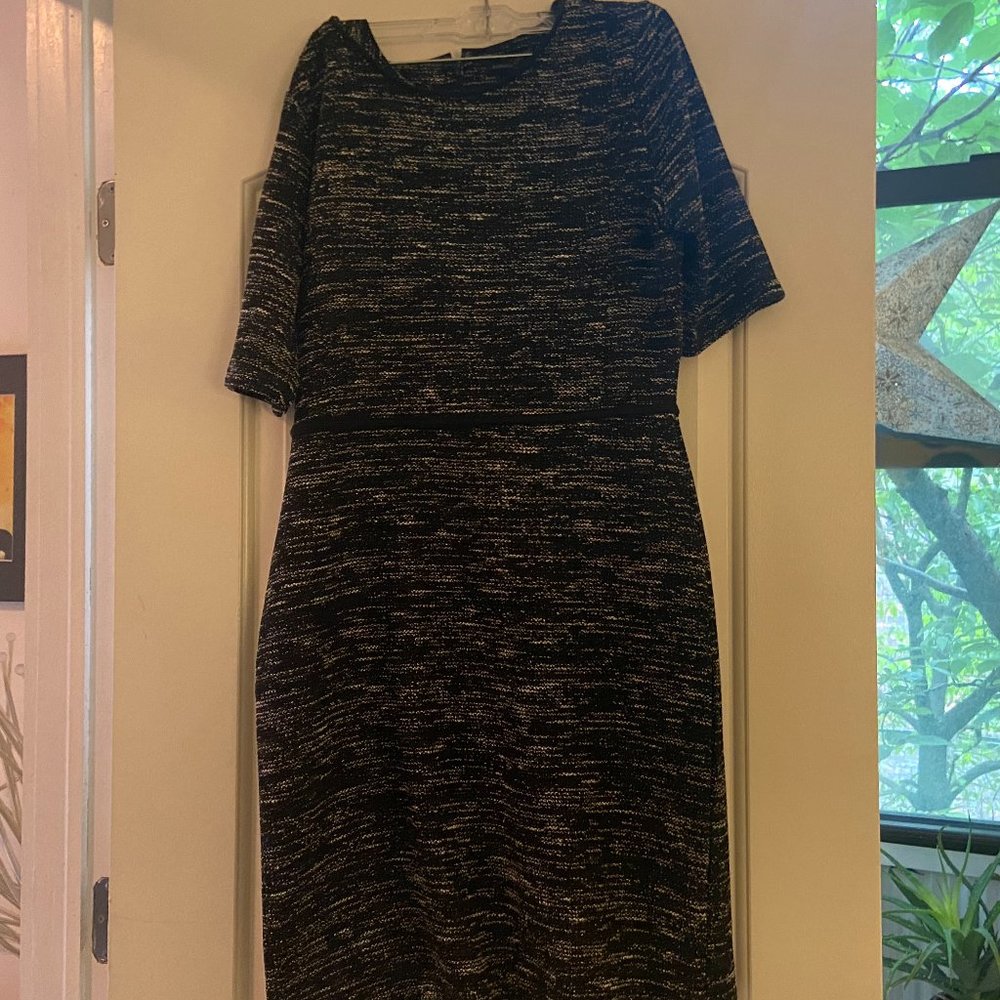 Cute Banana Republic Dress with Tags!